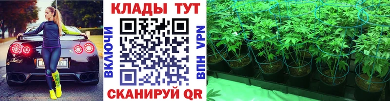 Какие есть наркотики Пионерский кракен сайт Alpha-PVP ГАШИШ АМФ КОКАИН Марихуана