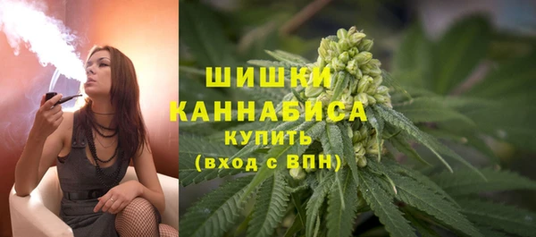 шишки Белокуриха