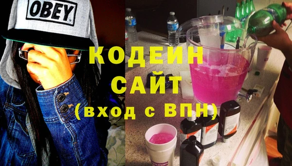шишки Белокуриха
