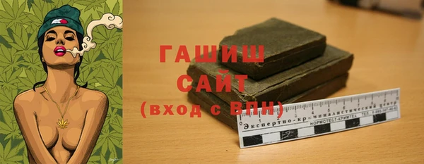 шишки Белокуриха