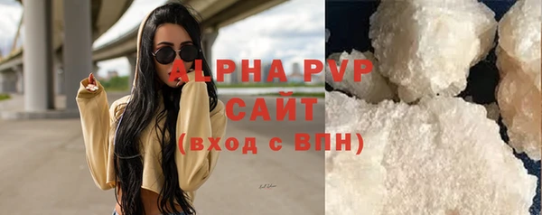 шишки Белокуриха