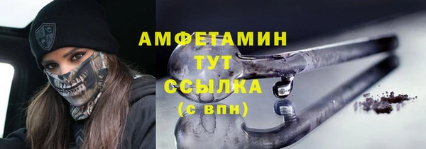 шишки Белокуриха