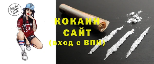 шишки Белокуриха