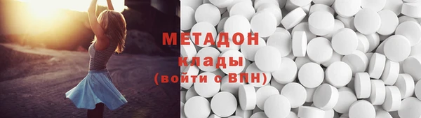 шишки Белокуриха