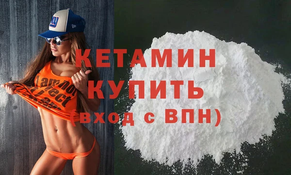 шишки Белокуриха
