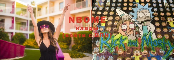 шишки Белокуриха