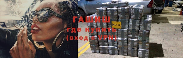 шишки Белокуриха