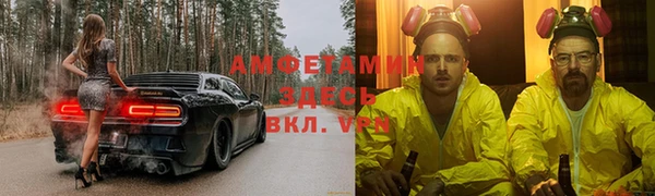шишки Белокуриха