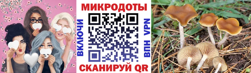 Псилоцибиновые грибы Cubensis  Пионерский 