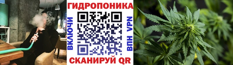 Бошки марихуана марихуана Пионерский