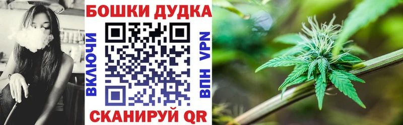 Каннабис семена  Пионерский 
